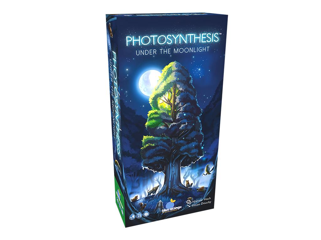 Photosynthesis - Under the Moonlight