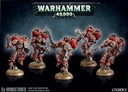 WH 40K: Chaos Space Marines - Raptors