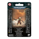 WH 40K: T'Au Empire - Kroot Flesh Shaper 