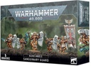 WH 40K: Blood Angels - Sanguinary Guard