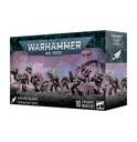 WH 40K: Emperor's Children - Tormentors
